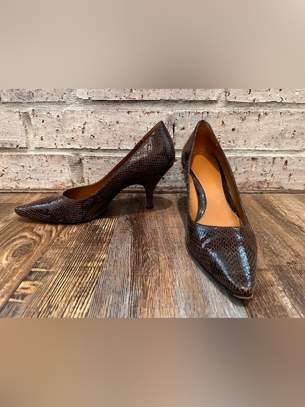 Circa Joan & David Brown Snake-Embossed Pointed-Toe Heels